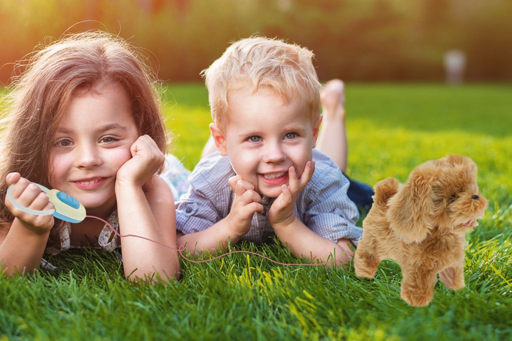 fornitore peluche